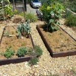 Raised Ironbark Vege Gardens