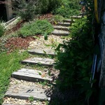 Native Garden with Recycled Railway Sleeper Steps
