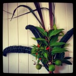 An Edible Bouquet for my Dad on Father's Day