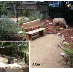 Native Garden Before and After