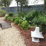 Maintenance of a Japanese Style Garden using Australian Natives