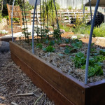 Raised Ironbark Vege Gardens with Bird and Possum Netting
