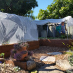 Raised Ironbark Vege Gardens with Bird and Possum Netting