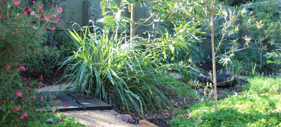 Native Childrens Garden